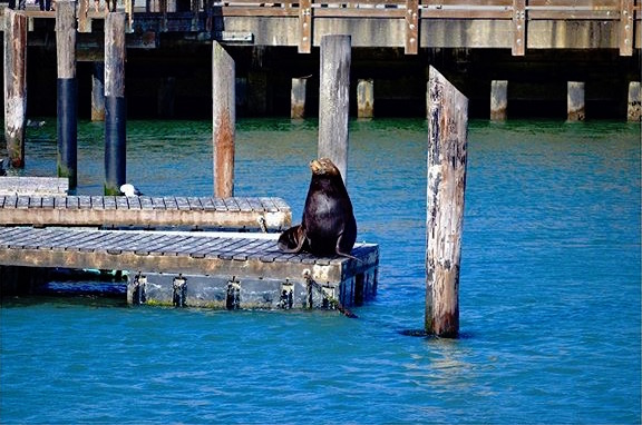 Foto 07-11-15, 12 06 03