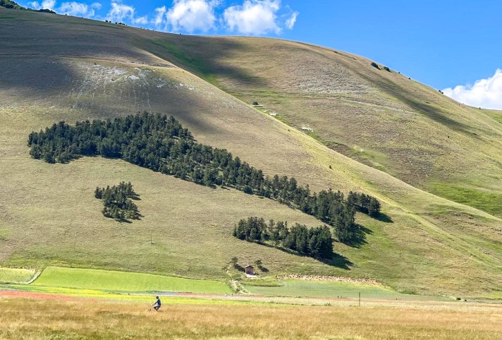 Casale Management - Travel - Italia - Umbria - Norcia - Castelluccio di Norcia - Trekking - Percorso - Outdoor - Neve - Fioritura - Vista paese - Bosco Italia